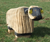 Wooden sheep